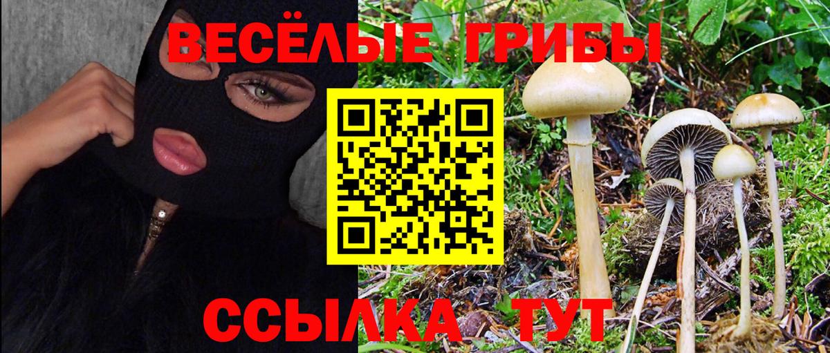 Псилоцибиновые грибы MAGIC MUSHROOMS  Вход с VPN  Ачинск  Галлюциногенные грибы мицелий 